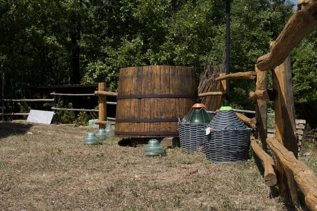 B&B La Timpa Del Cucco Roccagloriosa Kültér fotó